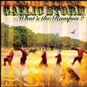 Gaelic Storm - Whats The Rumpus?